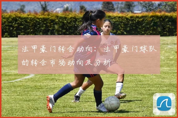 法甲豪门转会动向：法甲豪门球队的转会市场动向及分析
