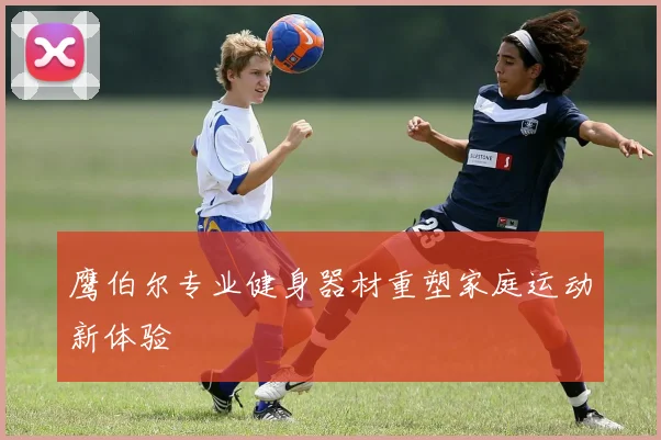 鹰伯尔专业健身器材重塑家庭运动新体验